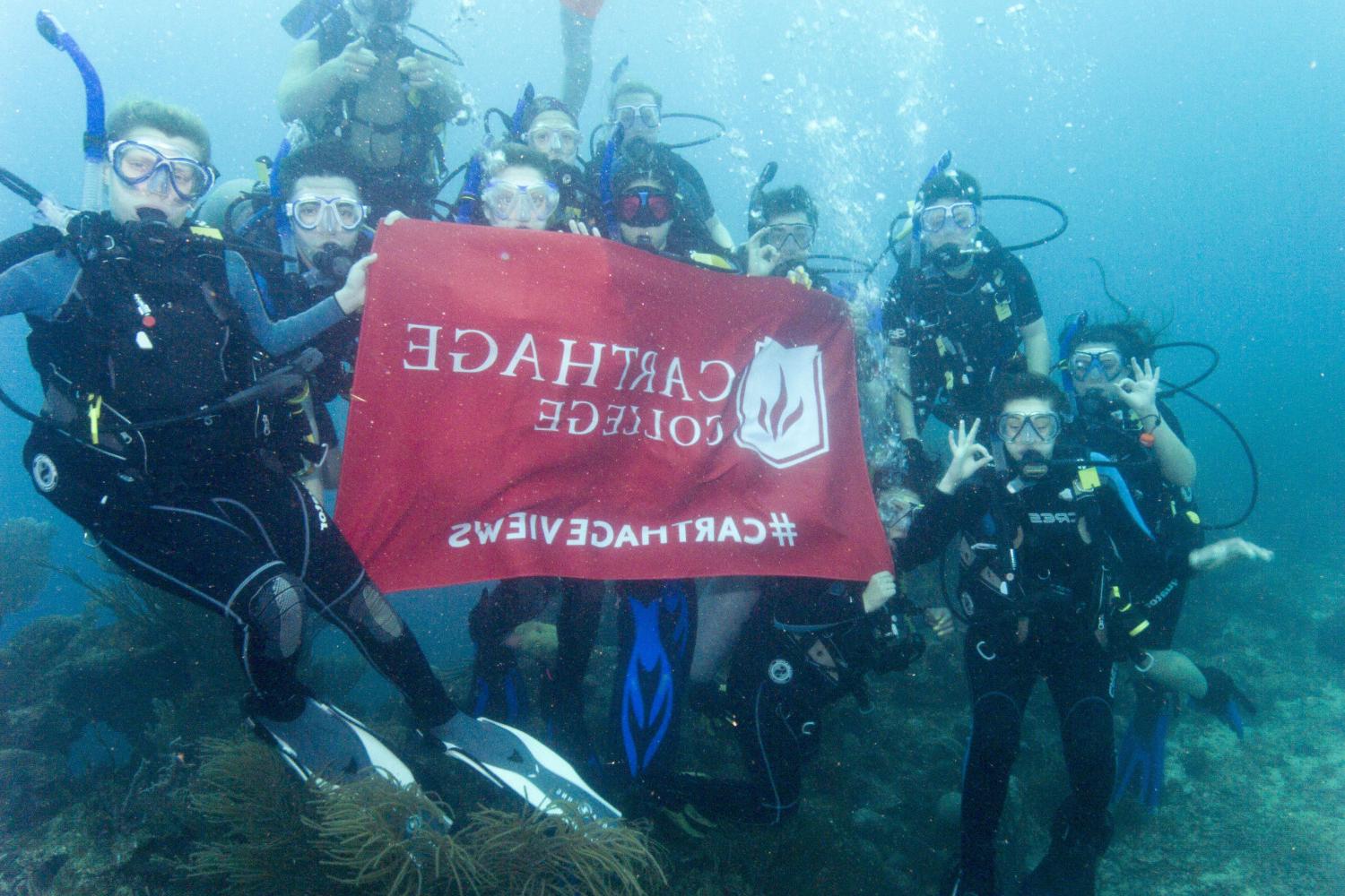 学生们手持<a href='http://jobs.lcwk.net'>bv伟德ios下载</a>旗帜，在j学期洪都拉斯游学之旅中潜水.